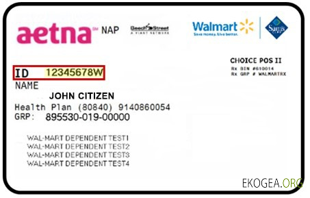 Carte d'assurance maladie de New York Aetna Inc.